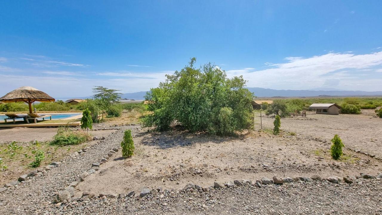 Africa Safari Lake Natron Camping Mtowabaga Exterior foto