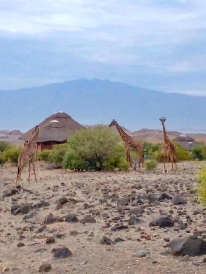 Africa Safari Lake Natron Camping Mtowabaga Exterior foto