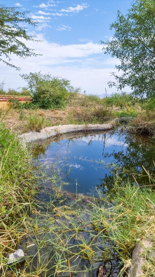 Africa Safari Lake Natron Camping Mtowabaga Exterior foto